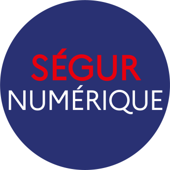 Ségur Numérique